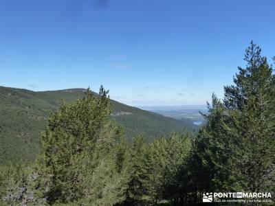 El pinar del Puerto de Navafría;la pedriza madrid;laguna negra soria;agencia viajes